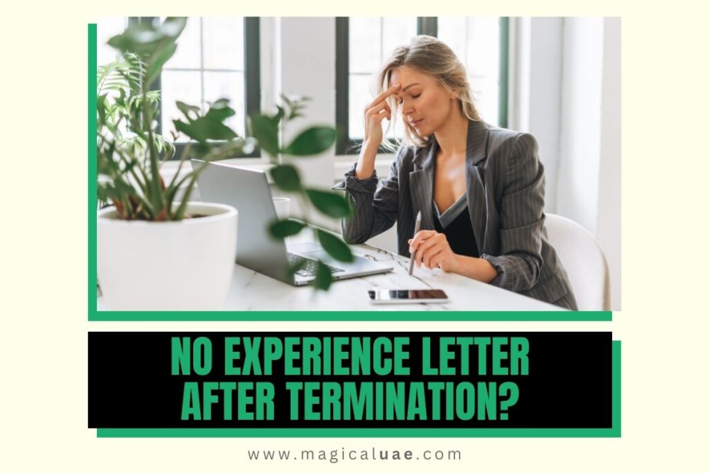 Can An Employer Refuse To Give Experience Letter After Termination?