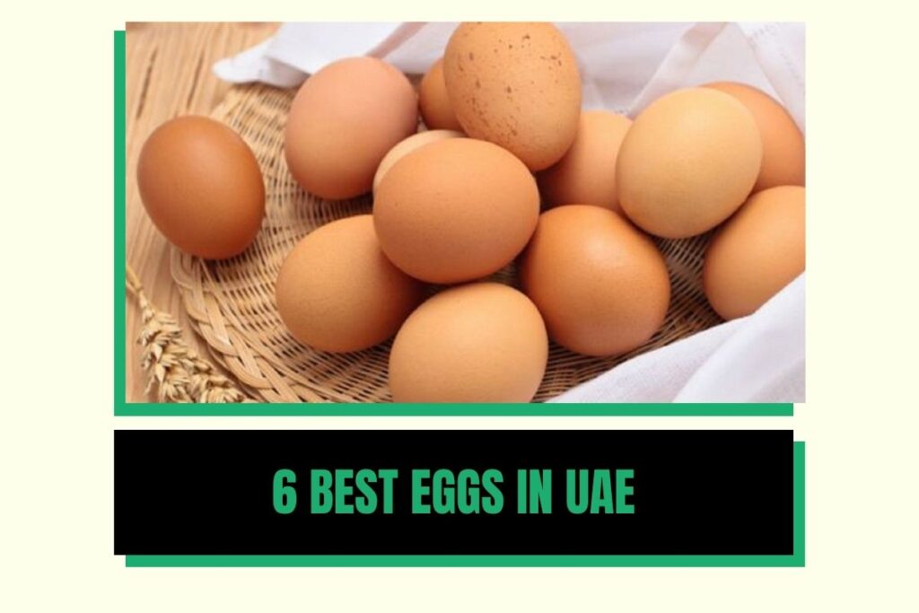 6 Best Eggs in UAE